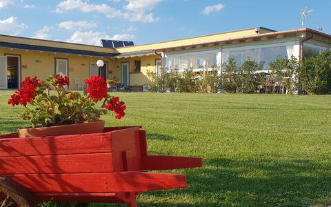 Appartamento Ibisco Seaside and Pool: Gazon, Tuin, Schaduw, Werf, Stoel, Landscaping, Buitenmeubels, Backyard, Bloempot, Kamerplant