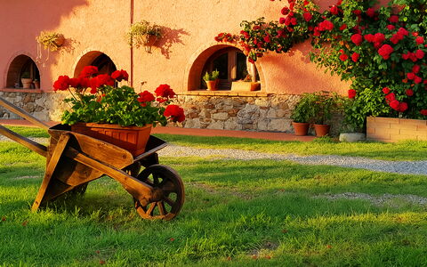 Appartamento Ibisco Seaside and Pool: Tuin, Landscaping, Werf, Bloempot, Backyard, Hacienda, Kamerplant