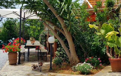 Appartamento Papavero Seaside and Pool: Groen, Bloempot, Tuin, Meubilair, Schaduw, Buitenmeubels, Backyard, Kamerplant, Stoel