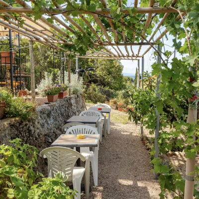 La Torre sul Ponte, Seaview, Garden