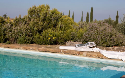 Podere Sangiovese, Pool and View in Chianti: Landscaping, Evergreen, Zwembad, Pine Family
