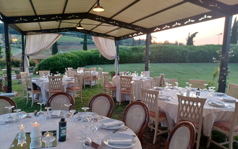 Tenuta Borgo al Sole: Evenement, Meubilair, Tuin, Gazon, Tafelkleed, Canopy, Outdoor Structuur, Werf, Schaduw, Backyard