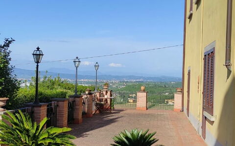 Villa Luce San Miniato: Bloempot, Kamerplant