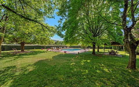 Medieval Castle Living: Vineyards, Swimming Pool &: Boom, Natuur, Blad, Afdeling, Tuin, Zonlicht, Schaduw, Gazon, Park, Landscaping