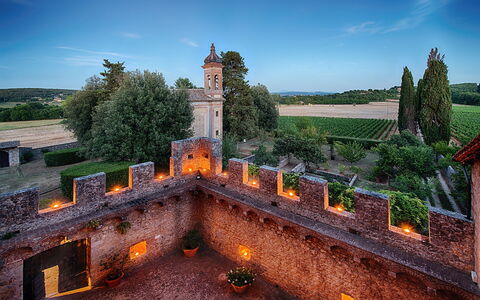Medieval Castle Living: Vineyards, Swimming Pool &: Landschap, Kasteel, Landgoed, Tuin, Historische Site, Middeleeuwse Architectuur, Vestingwerk, Paleis, Herenhuis