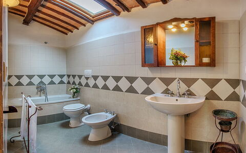 Medieval Castle Living: Vineyards, Swimming Pool &: Flooring, Interieur Ontwerp, Verdieping, Plafond, Loodgieterswerkinrichting, Tegel, Loodgieter, Kraan, Kamer, Badkamer