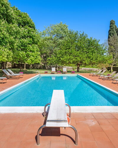 Medieval Castle Living: Vineyards, Swimming Pool &: Struik, Tuin, Zwembad, Landgoed, Hacienda, Schaduw, Landscaping, Gazon, Villa, Toevlucht