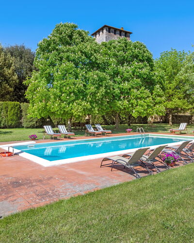 Medieval Castle Living: Vineyards, Swimming Pool &: Boom, Struik, Tuin, Gazon, Landgoed, Plantage, Zwembad, Park, Landscaping, Hacienda