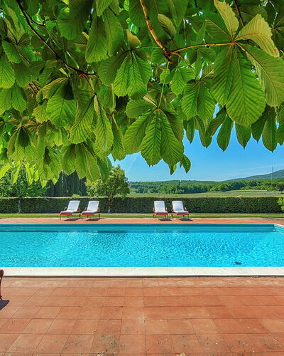 Medieval Castle Living: Vineyards, Swimming Pool &: Tuin, Schaduw, Toevlucht, Eco Hotel, Zwembad, Hacienda, Buitenmeubels, Plantage, Villa, Boerderij