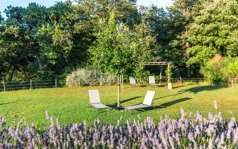 Cignella Resort: Gras, Struik, Tuin, Gazon, De Lente, Groundcover, Weide, Park, Schaduw