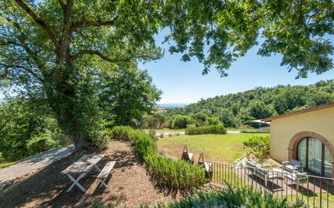 Cignella Resort: Boom, Blad, Vegetation, Natuurlijk Landschap, Struik, Landschap, Land Lot, Landelijk Gebied, Plantengemeenschap