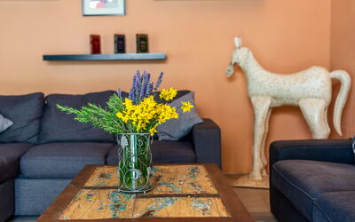 Accommodatie:&nbsp;Pesca