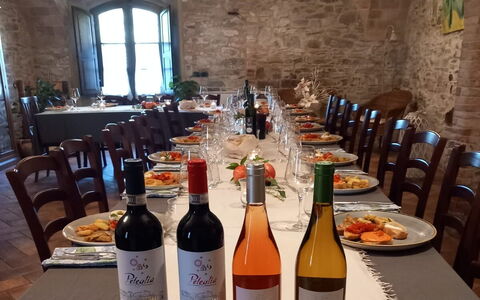 Podere Peteglia: Meubilair, Fles, Restaurant, Stoel, Wijn, Kamerplant, Glazen Fles, Barware, Keuken En Eettafel