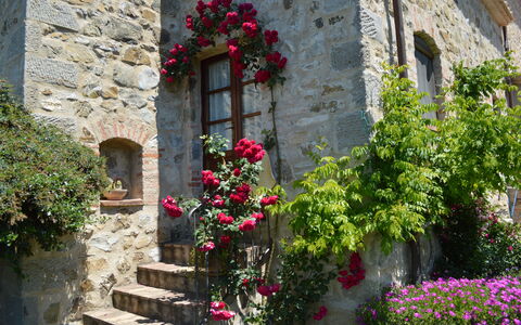 Agriturismo Bellavista, Private Pool, Val D'Orcia: Bloem, Muur, Groen, Struik, Petal, Roze, De Lente, Stenen Muur, Tuin