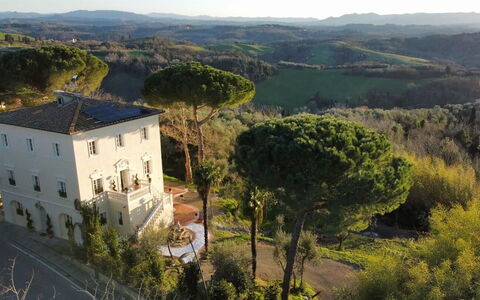 Villa Elisa: Woongebied, Huis, Architectuur, Struik, Landschap, Landgoed, Huis, Menselijke Nederzetting, Herenhuis, Hacienda
