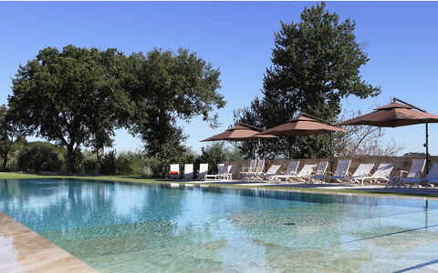 Poggio Mori 20: Zwembad, Water, Boom, Reflectie, Buitenmeubels, Toevlucht, Waterpartij, Tuin, Ligstoel, Schaduw