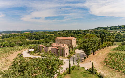 Poggio Mori 20: Landschap, Struik, Landelijk Gebied, Land Lot, Landgoed, Menselijke Nederzetting, Plantage, Hacienda, Tuin, Landscaping