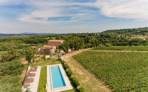 Poggio Mori 20: Landschap, Landelijk Gebied, Land Lot, Plantage, Plain, Landbouw, Landgoed, Veld, Boerderij, Weide