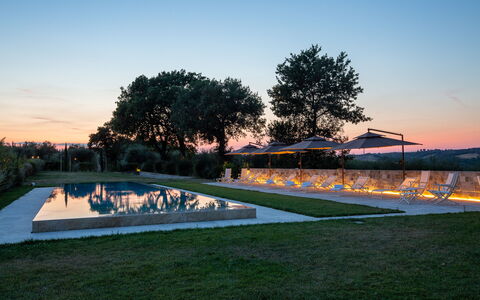 Poggio Mori 20: Zwembad, Landschap, Landscaping, Gazon, Waterpartij, Avond, Schemer, Park, Reflecting Pool, Schaduw