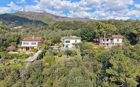 Villa Il Giardino: Vegetation, Landelijk Gebied, Heuvel, Landschap, Woongebied, Huis, Hoogland, Plantengemeenschap, Huis, Heuvel Station