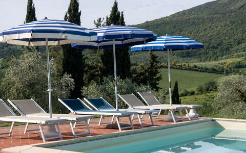 Podere le Lune with Pool, San Gimignano: Buitenmeubels, Toevlucht, Schaduw, Buitentafel, Zwembad, Ligstoel, Stoel, Eco Hotel, Paraplu, Kamerplant