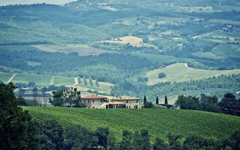 Selvamica: Heuvel, Natuurlijk Landschap, Hoogland, Horizon, Grasland, Landschap, Landbouw, Landelijk Gebied, Veld, Plantage