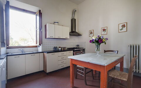 Martini: Flooring, Keuken, Interieur Ontwerp, Toestel Van De Keuken, Meubilair, Countertop, Cabinetry, Huis, Verdieping, Major Appliance