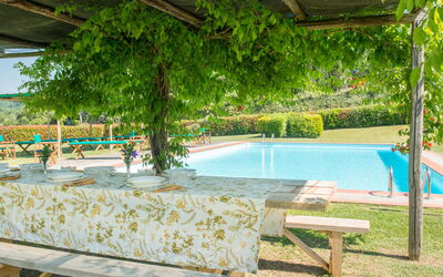 Martini: Schaduw, Tuin, Zwembad, Eco Hotel, Hacienda, Buitenmeubels, Toevlucht, Backyard, Plantage, Outdoor Structuur