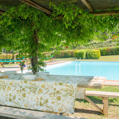 Martini: Schaduw, Tuin, Zwembad, Eco Hotel, Hacienda, Buitenmeubels, Toevlucht, Backyard, Plantage, Outdoor Structuur