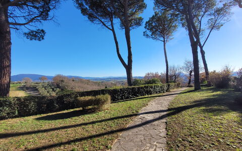 Villa El Olivar: Lucht, Blauw, Blad, Boom, Groen, Natuurlijke Omgeving, Natuur, Afdeling, Vegetation, Natuurlijk Landschap