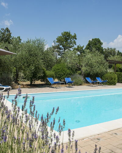 Villa El Olivar: Zwembad, Tuin, Landgoed, Landscaping, Buitenmeubels, Hacienda, Toevlucht, Villa, Backyard, Boerderij