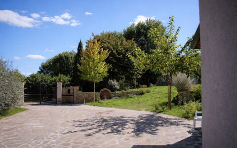 Villa Montepulciano Vineyard: Struik, Tuin, Flagstone, Schaduw, Oprit, Landscaping, Gang, Backyard, Werf