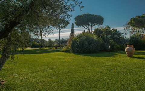 Villa Bolgheri Vermentino Castagneto Carducci: Gras, Natuur, Blad, Tuin, Landschap, Struik, Land Lot, Trunk, Gazon, Landscaping
