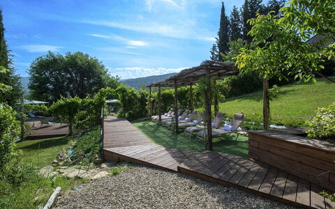 Villa Grevigiana: Struik, Landschap, Tuin, Plantengemeenschap, Land Lot, Schaduw, Groundcover, Buitenmeubels, Landscaping, Outdoor Structuur