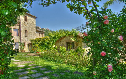 Villa Incanto: Bloem, Struik, Tuin, Petal, De Lente, Landscaping, Kruidachtige Plant, Backyard, Werf, Rose Family