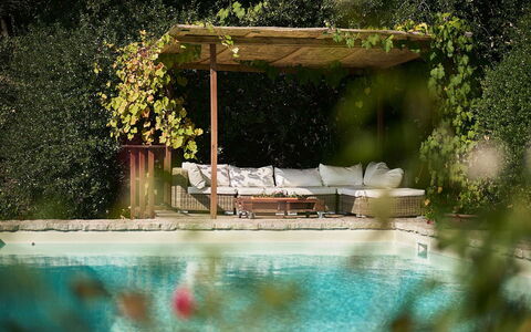 Villa Novellina: Tuin, Zwembad, Buitenmeubels, Schaduw, Backyard, Toevlucht, Vrije Tijd, Bloempot, Landscaping, Outdoor Structuur