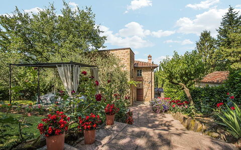 Villa Panorama: Struik, Tuin, De Lente, Bloempot, Backyard, Landscaping, Werf, Steen, Kamerplant