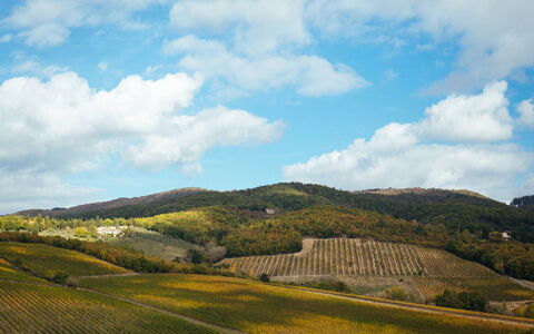 Villa Torre del Chianti: Bergachtig Landvormen, Heuvel, Natuurlijk Landschap, Berg, Hoogland, Landschap, Grasland, Ecoregio, Landelijk Gebied, Veld