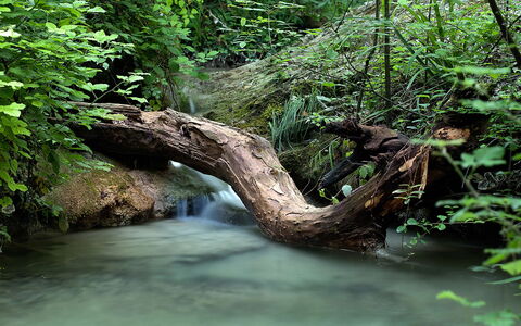 Borgo di San Biagio: Watervoorraden, Water, Zwemwater, Natuur, Waterloop, Groen, Natuurlijke Omgeving, Stroom, Vegetation, Afdeling