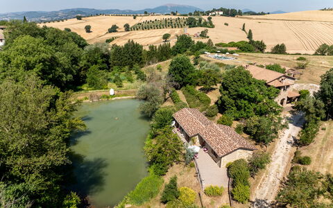 Il Giuncheto, Pool, Amazing View, Umbrian Countrys: Boom, Huis, Landelijk Gebied, Landschap, Huis, Land Lot, Menselijke Nederzetting, Verblijf, Landgoed