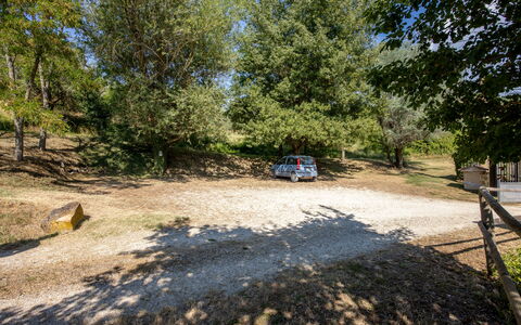 Il Giuncheto Apartments, Pool, Umbrian Countryside: Boom, Trail, Bodem, Family Car, Parking, Oprit, Schaduw