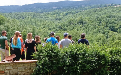Villa Campo al Vento - Country Farm: Natuurlijke Omgeving, Natuur, Blad, Zomer, Recreatie, Heuvel, Landschap, Vrije Tijd, Plantengemeenschap, De Lente