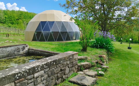 Villa Campo al Vento - Country Farm: Gras, Koepel, Koepel, Tuin, Weide, Landscaping, Botanische Tuin, Park, Plantage