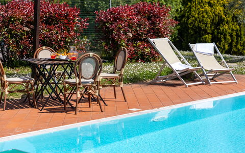 Il Leccio, Vinci, Private Pool and Tennis: Zwembad, Buitenmeubels, Toevlucht, Meubilair, Eco Hotel, Schaduw, Stoel, Ligstoel, Bloempot, Kamerplant