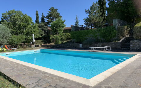 Casa Chimera: Zwembad, Blauw, Toevlucht, Samengesteld Materiaal, Schaduw, Eco Hotel, Backyard, Hacienda, Tuin, Waterpartij