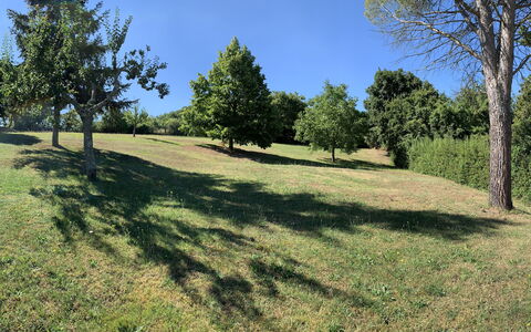 Casa Chimera: Boom, Gras, Natuurlijke Omgeving, Afdeling, Grasland, Plain, Land Lot, Pasture, Trunk