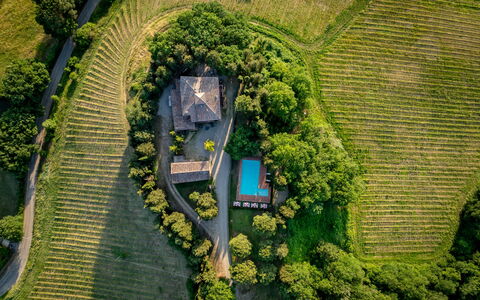 Maison Badia a Passignano: Plantage, Eco Hotel, Tuin, Landgoed, Landbouw, Landscaping, Vogelperspectief, Backyard, Villa