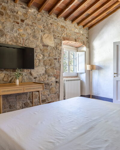 Aleatico - 5 al Primo Piano