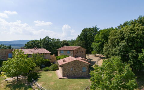 Casa Stella Serena, Podere le Scopaie, Pool: Boom, Landelijk Gebied, Land Lot, Verblijf, Landgoed, Recreatie, Dorp, Weide, Boerderij, Park