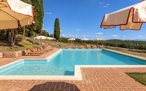 Casa Stella Serena, Casole D'Elsa, Pool: Landgoed, Hacienda, Landscaping, Villa, Zwembad, Plantage, Boerderij